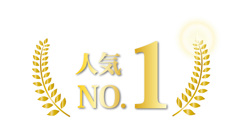 人気ナンバーワン